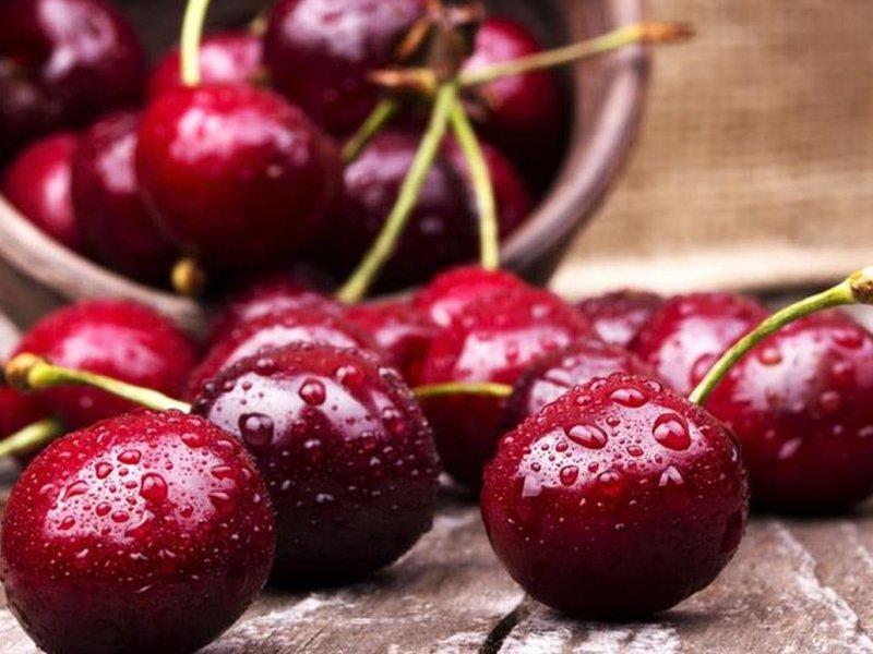 Вишня купить саженцы из питомника в Избербаше